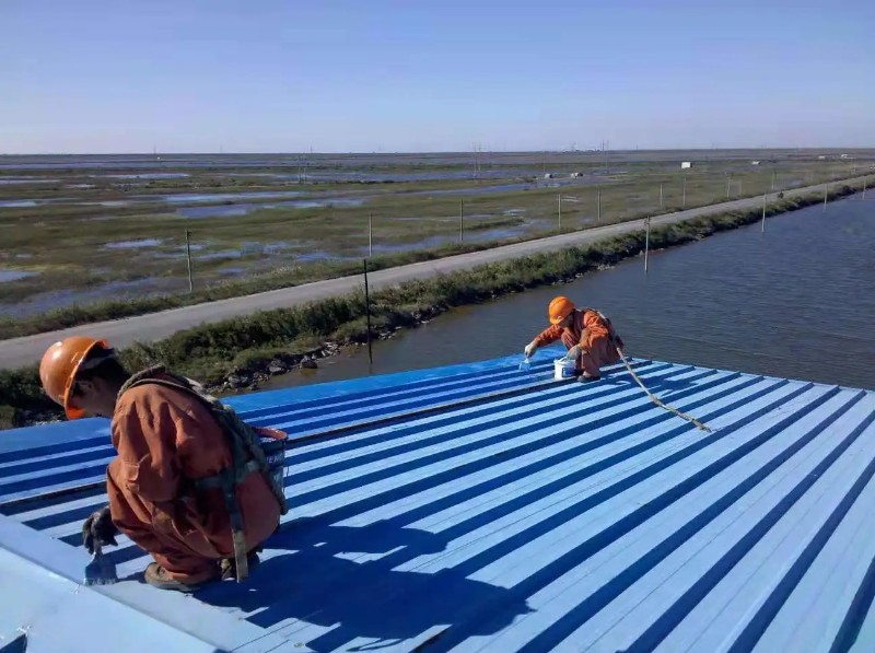 赤壁彩钢瓦屋面防腐翻新