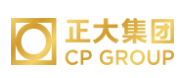 赤壁正大集团
